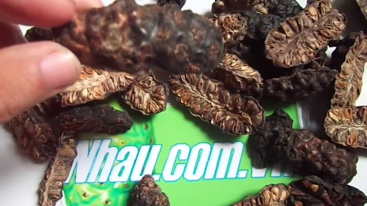 Dried Noni (Sample 1) Sales Dried Noni YouTube