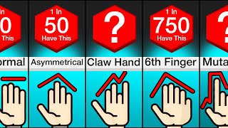 Comparison: Different Types Of Hands