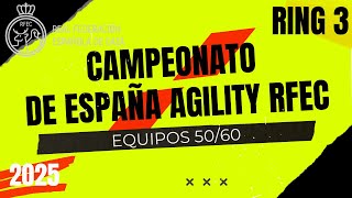 Campeonato de España AGILITY RFEC 2025 - RING 3: Equipos 50-60