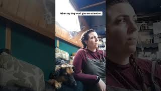 When My Dog Doesnt Give Me Attention.