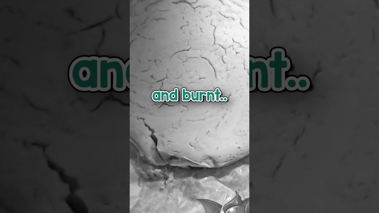 ITS BURNT AND RAW #vtuber