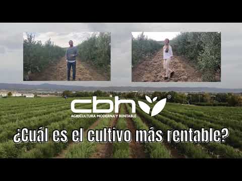 Video: ¿Cuál es el cultivo más rentable de Michigan?