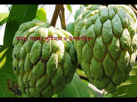 ভিডিও: এটি কি প্রোটিন, উপকারী ব্যবহারের উপযুক্ত?