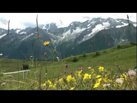 Video: Scivolo Alpino - Paesaggio Di Montagna Nel Paese