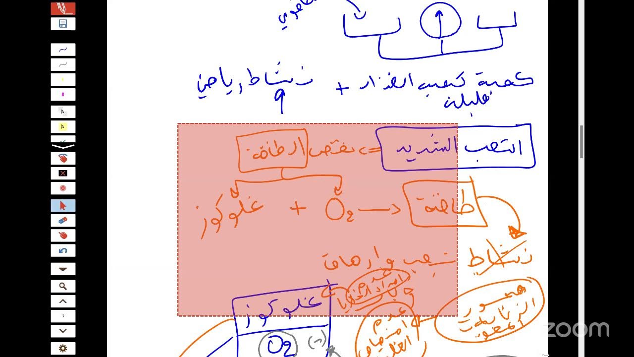 مراجعة عامة للعلوم بيام 2025 الجزء الثاني