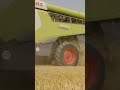 @claas_global ვალენტინობას გილოცავთ #Happy #valentinesday #claas