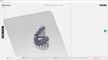 BlueSkyPlan v4.7.15 - IBT: Step10a - Tray Print Setup