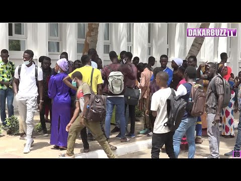 Vidéo: Etudiants Américains En échange: Ne Venez Pas En Afrique Du Sud