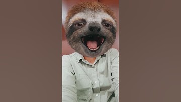 Man Rescues Stranded Sloth with Help from Another #short #shorts