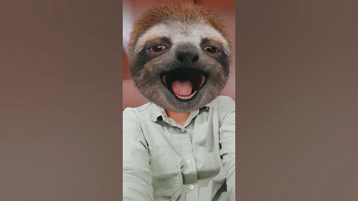 Man Rescues Stranded Sloth with Help from Another #short #shorts