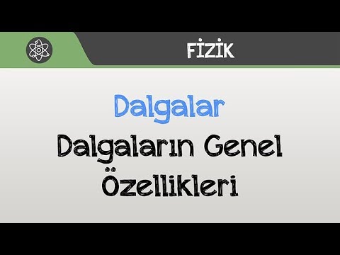 Video: Dalgaların özellikleri nelerdir?