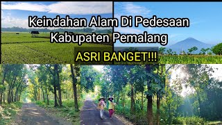 Keindahan Alam Desa Peguyangan Pemalang