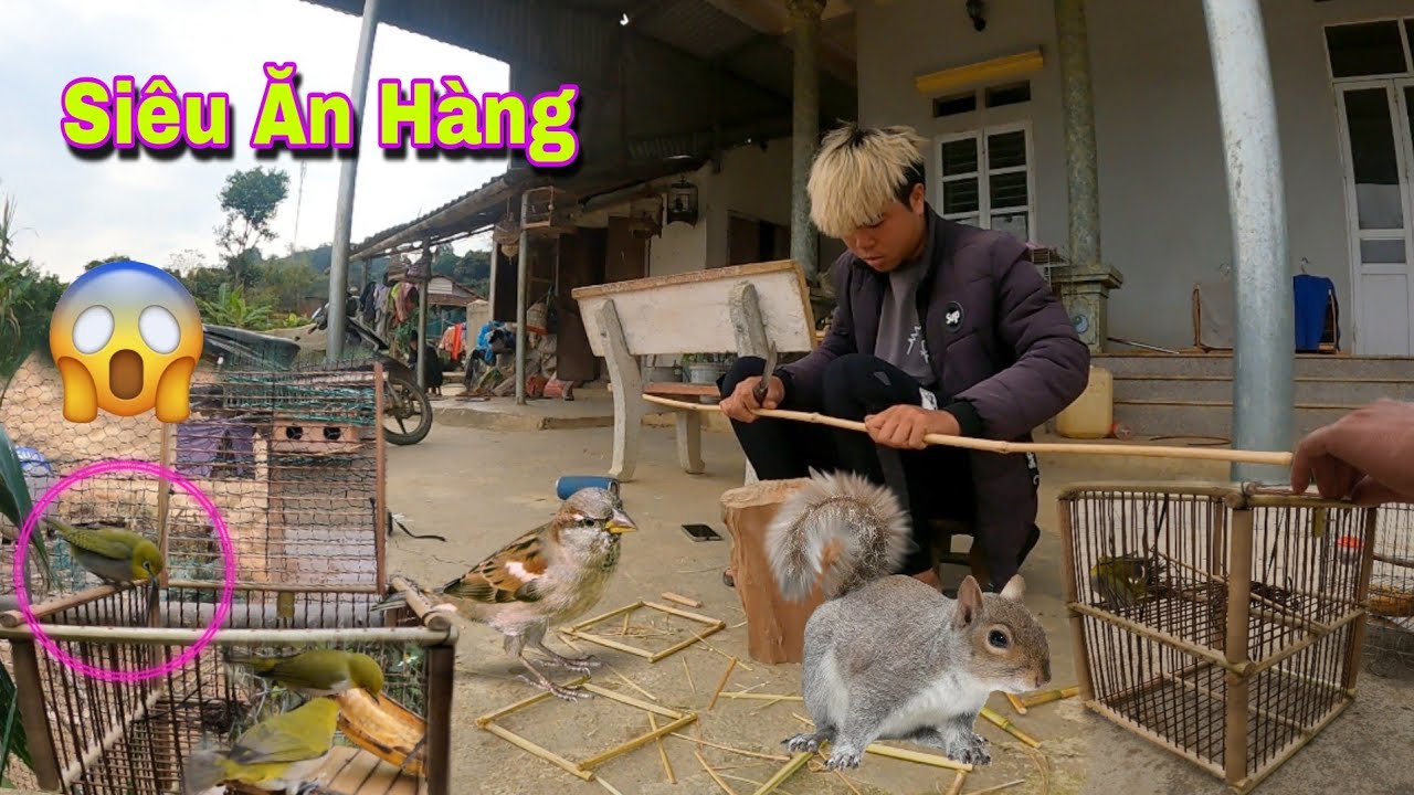 Chế Lồng Bẫy 1 Cửa Bẫy Mào Khuyên Cực Chất | Dân Tộc Tây Bắc Tv