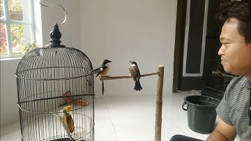 Ketemu langsung duel,, musuh bebuyutan memang susah akur