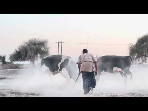 سيف النار و الجارف