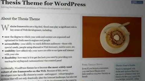 Thesis Theme - SEO WordPress Theme