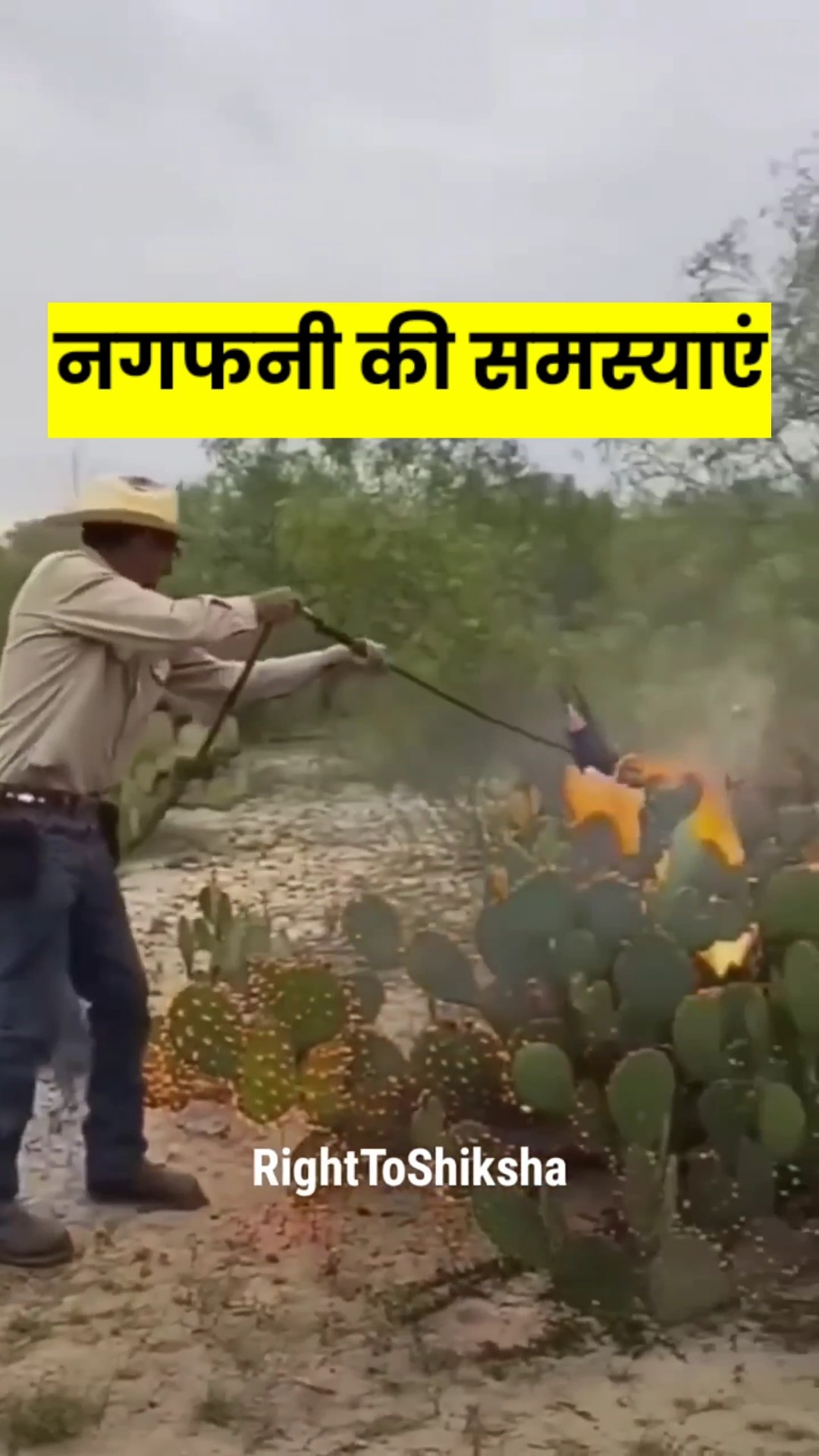 नगफनी की खेती की समस्याएं by Right To Shiksha