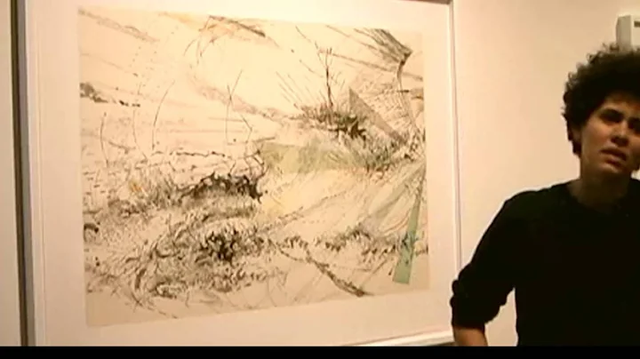 Julie Mehretu