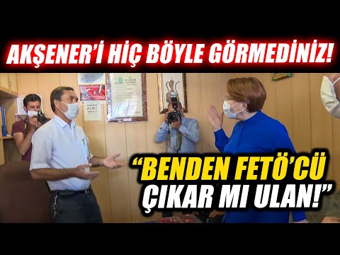 Video: Seçimleri: Hangi Aday En Hayvan Dostu?