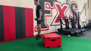 Seated Dumbbell Squat Jump