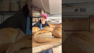 Steamy Bakes, Icy Weather