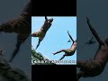 Jackie Chan vs The Entire Tribe #jackiechan #shorts