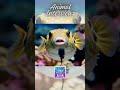 Animal Interviews: Hilarious &amp; Heartwarming Conversations with Our Friends