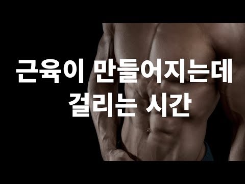 효과적인 근육 증가를 위한 기본 원칙