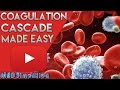 Coagulation Cascade SIMPLEST EXPLANATION !! The Extrinsic and Intrinsic Pathway of HEMOSTASIS