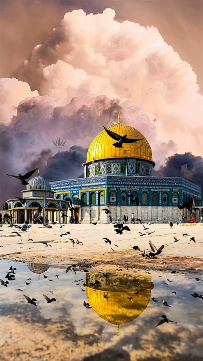 🥺🇯🇴🥺