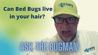 Can bed bugs live in your hair / can bed bugs get in your hair