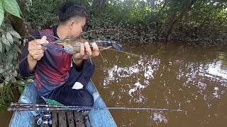 berburu udang galah || panik..!! joran tiba-tiba melengkung tajam