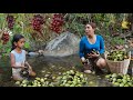 Big shell and snail in river pick for food- Cooking shell &amp; snail so delicious for lunch