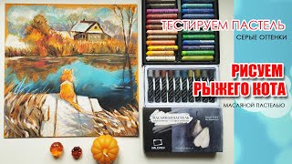 Тестирую Масляную Пастель - Серые Оттенки. Рисую Рыжего Кота. I'm Testing Oil Pastels - Gray Shades.