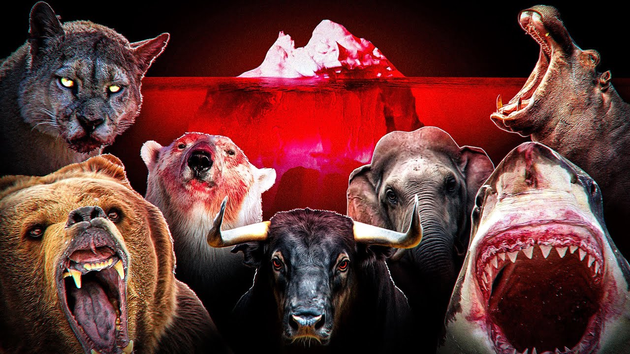 The Deadliest Animal Attacks Iceberg..