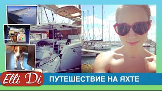 Собака в самолёте, ЯХТА HELIA 44 ОБЗОР | Отдых на яхте #1 | Elli Di VLOG(Путешествие на яхте начинается с собаки в самолете ) Серия №1 Начало - Все серии на яхте: https://goo.gl/OWaOcO ▽Я в..., 2015-12-12T16:27:02.000Z)