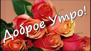 С Добрым Утром! Шикарное Пожелание С Добрым Утром. Пусть Везенье Всегда Будет Рядом!