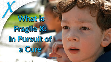 What is Fragile X Syndrome - In Pursuit of a Cure
