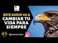 💥ÉSTE AUDIO VA A CAMBIAR TU VIDA PARA SIEMPRE (You Tube podría eliminarlo))