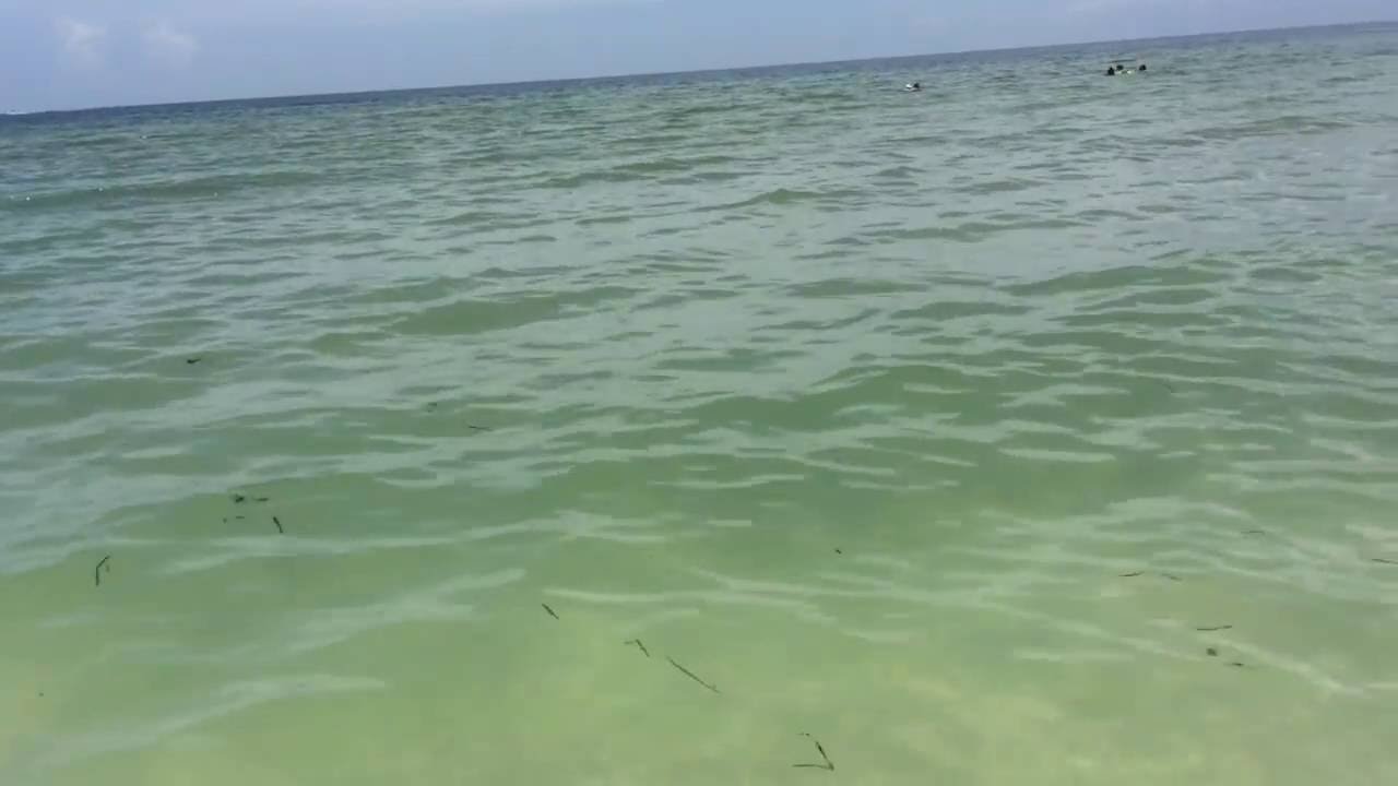 Bowmans beach Sanibel