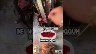 CON OGGUN PARA SALUD #iworyb #oggun #ebbo #ashe #salud