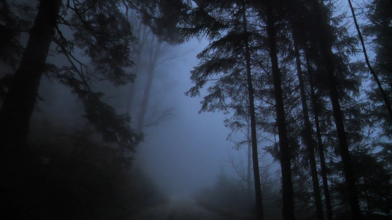 Virtual Drive Through The Dark And Foggy Forest Rain And Thunder - roblox dark forest background