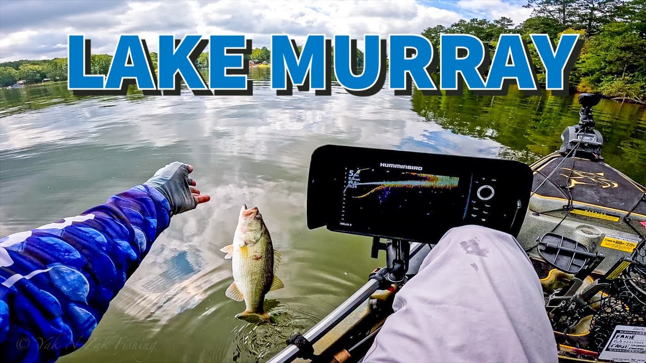 Covering New Water on Lake Murray | Kayak Bass Fishing