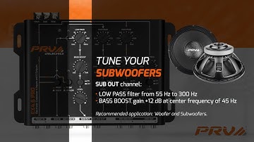 Prv audio EX4.6 Pro crossover