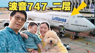 硬件老旧，餐食落后？带娃带狗 挑战17小时汉莎航空商务舱洲际飞行