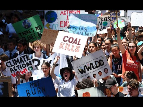 The Five Basic Laws Of Human Stupidity