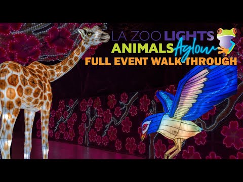 Video: LA Zoo Lightxs im Griffith Park: Der vollständige Leitfaden