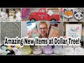 Large Dollar Tree Haul & Shop With Me