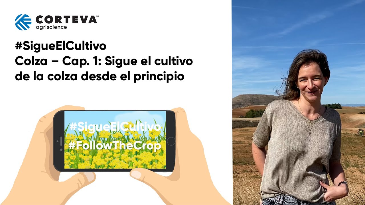 #SigueElCultivo - Colza: Claves de una buena siembra