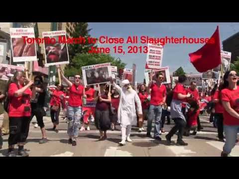 Toronto March to Close All Slaughterhouses, "die-in" & memorial (2013)